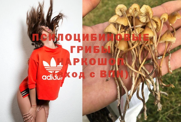 крисы Балабаново